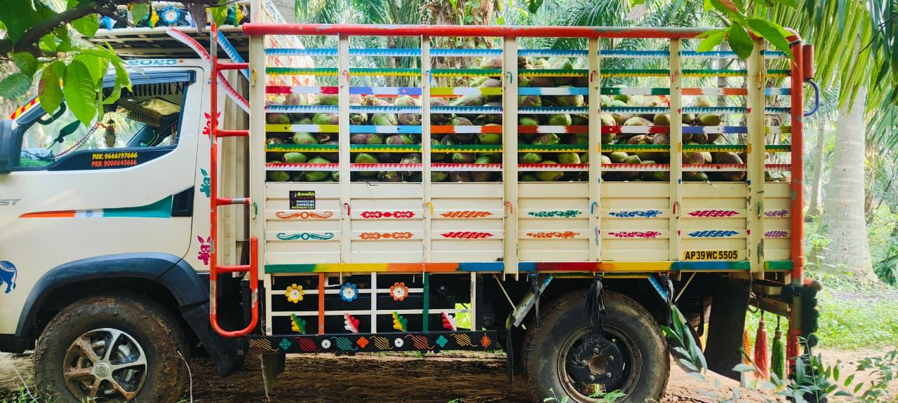 Coconut plantation and loading area at Maruti Coconuts
